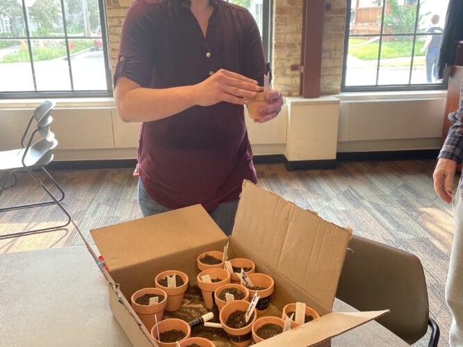 A med student is standing behind a table with a box of quinoa plants, pre-planted in tiny terracotta pots. The med student is in the middle of handing one of the potted plants to an attendee who is leaving.