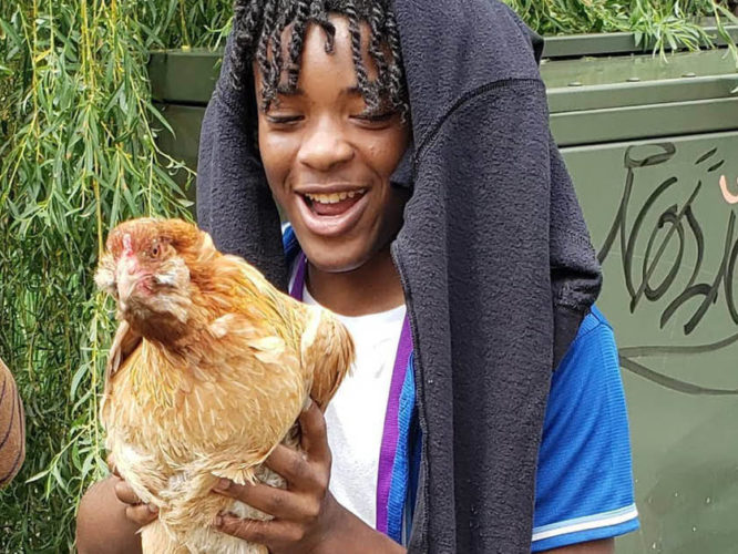 A boy holding a chicken