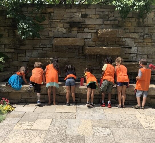 A group of 8 multi-racial kids look over a short stone wall at the ground beneath inside Olbrich community gardens. All 8 have their backs turned and are wearing the orange Goodman pinnies. A curious girl in a bright blue skirt at the far left end has crawled onto the top of the stone wall to peer over it, while the rest stand in front of it.