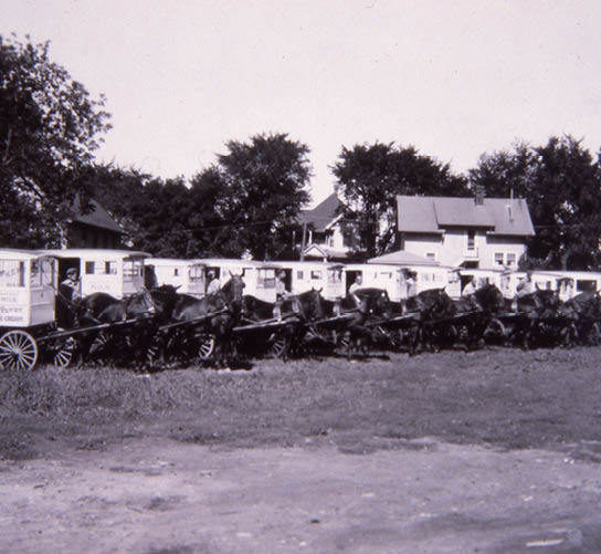 A historical photo of dairy horses on Madison's east side