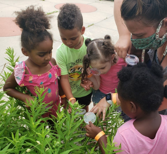 A group of children lean in to look at a bug on a plant.
