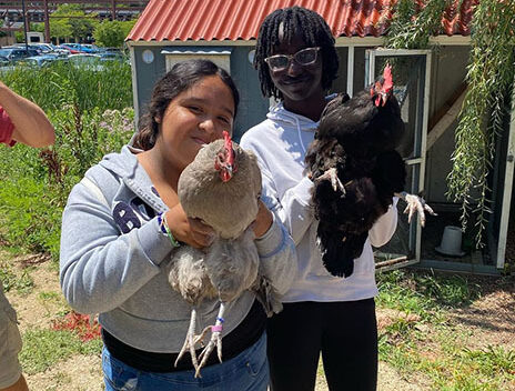 Two teens smiling, each holding a chicken
